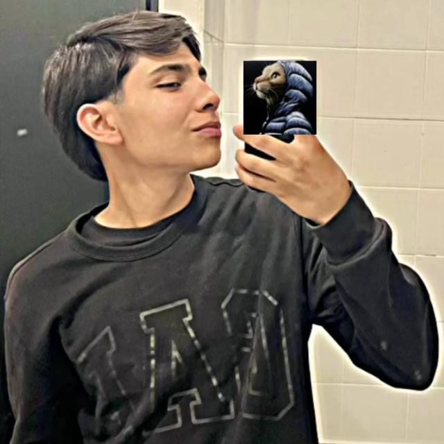 User Image