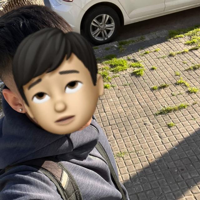 User Image
