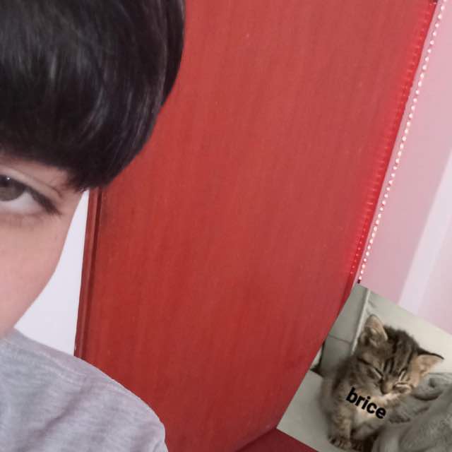User Image