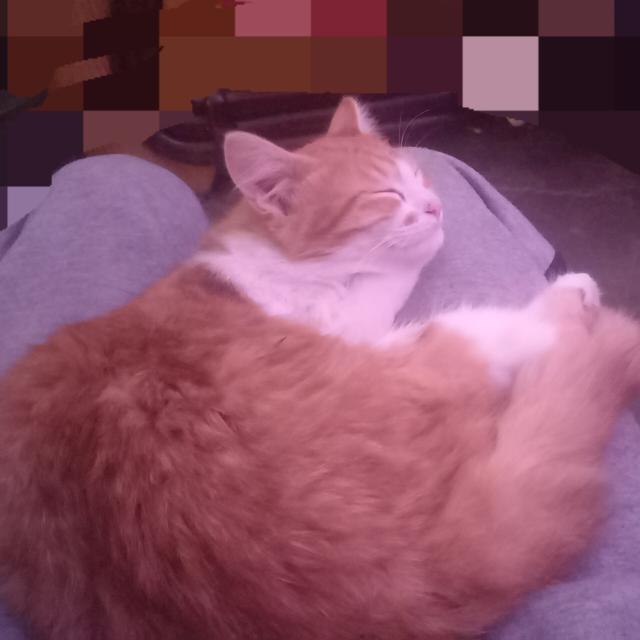 User Image